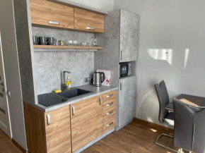 Loft квартира в центрі Львова
